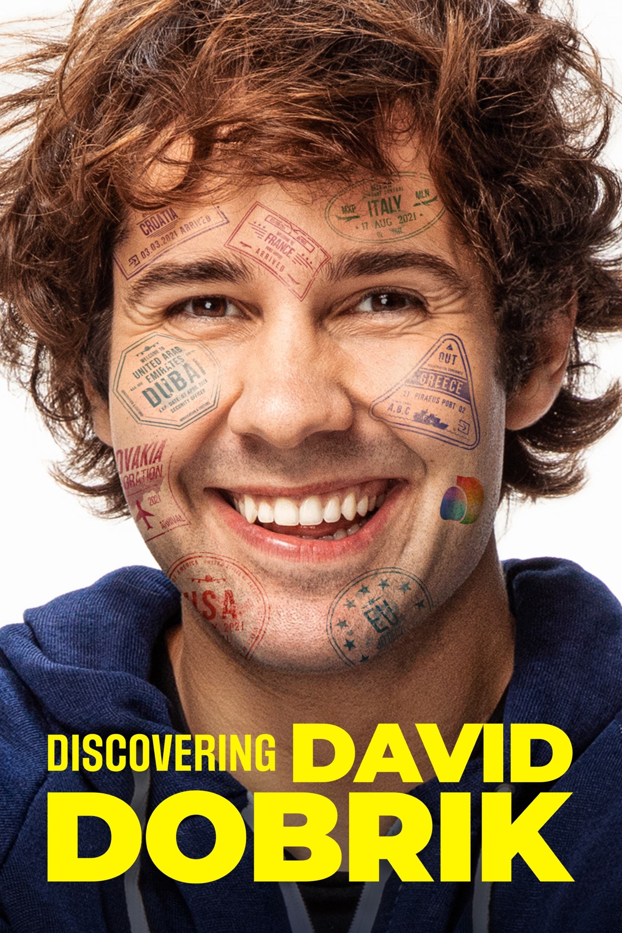 Poster de Discovering David Dobrik