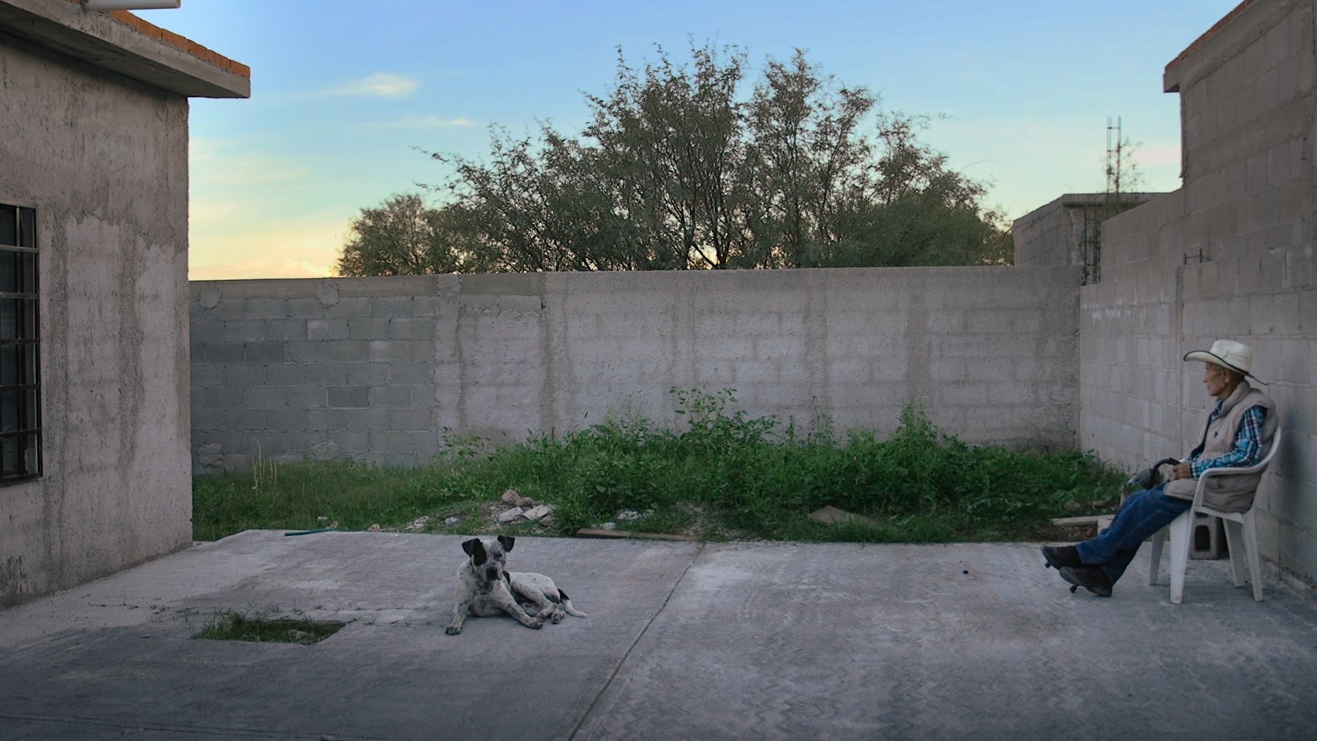 backdrops