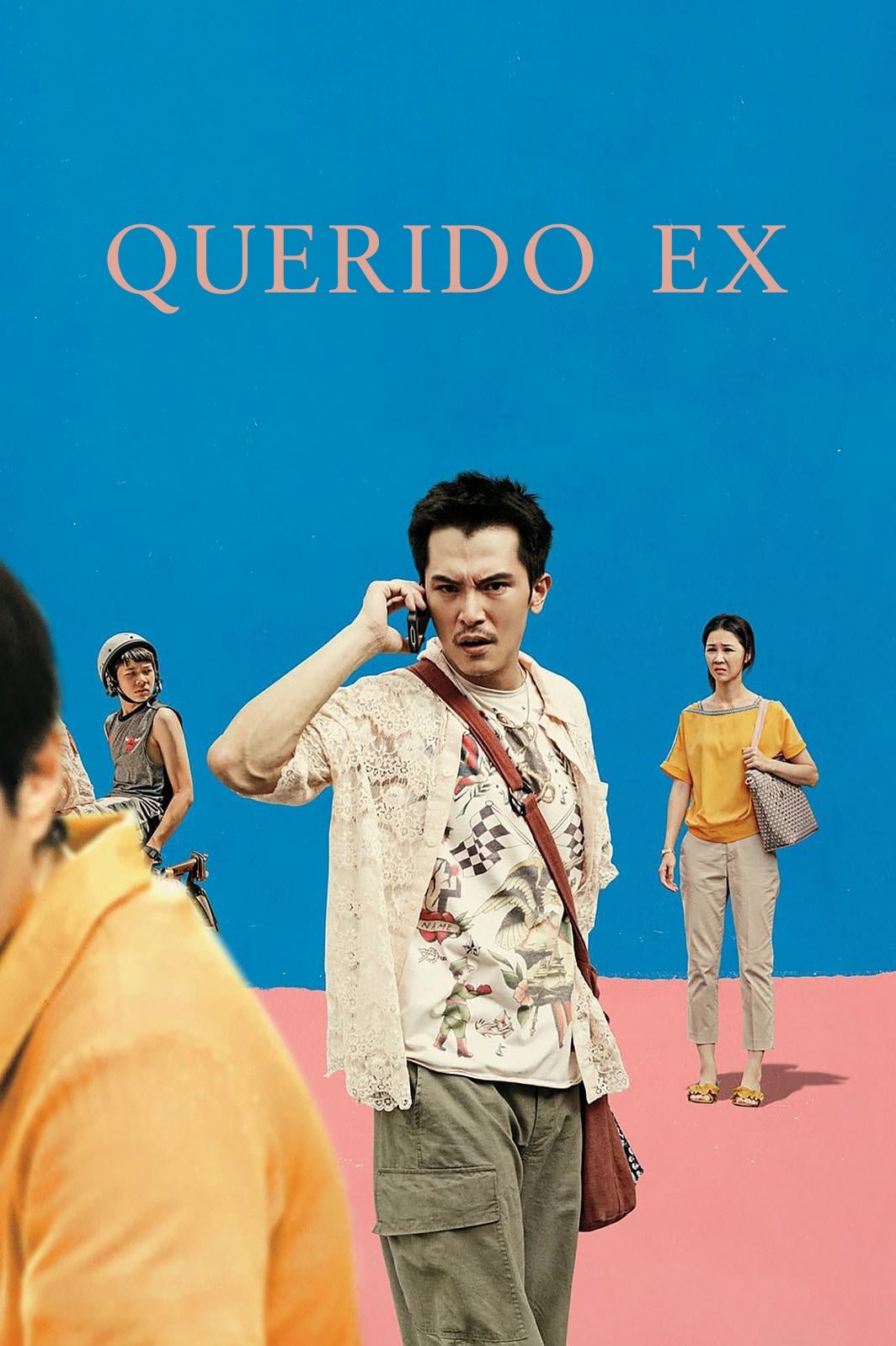 Poster de Querido Ex