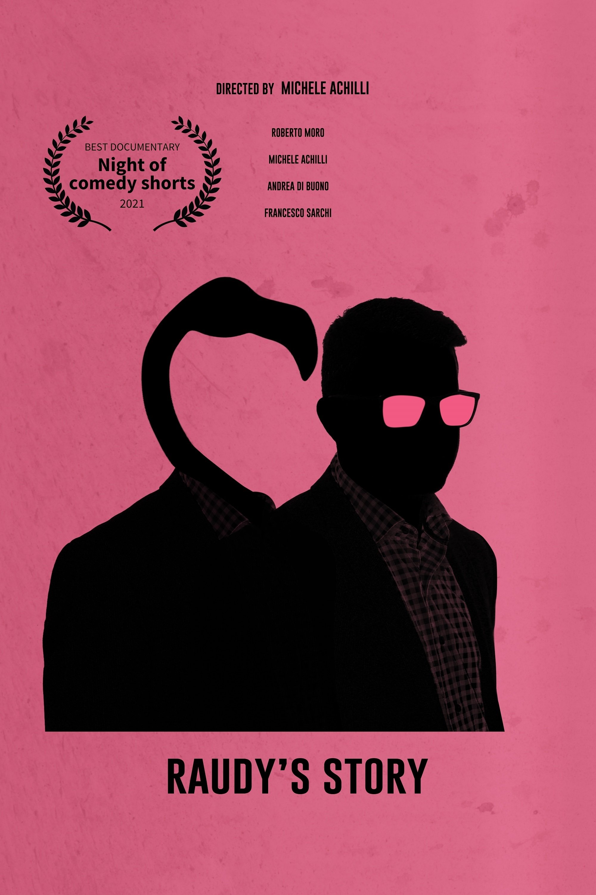 Poster de Raudy's Story