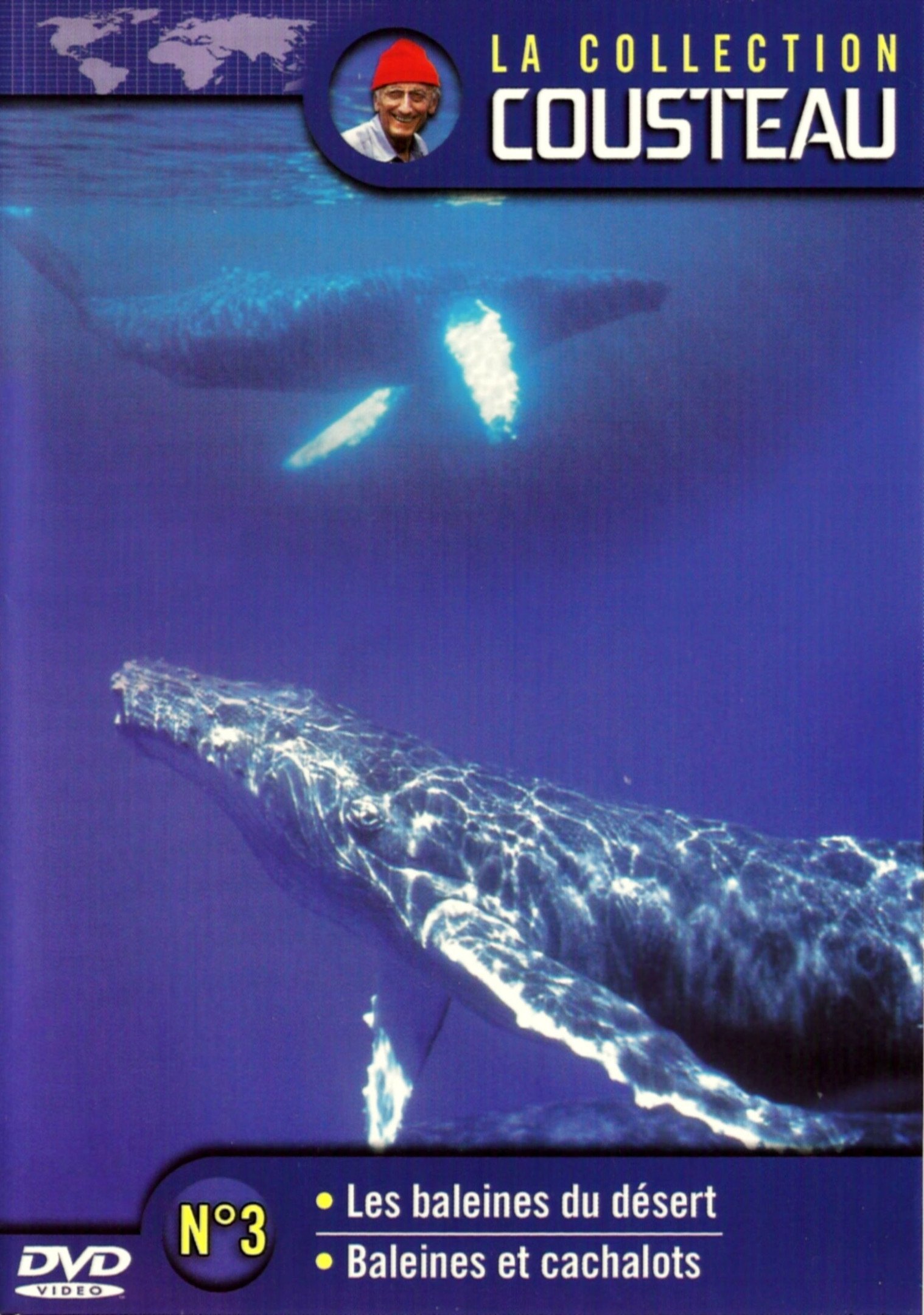 Poster de La collection Cousteau N°3 | Les baleines du désert | Baleines et cachalots
