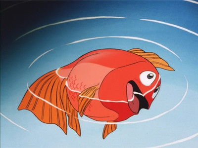 I Was a Cat, I Was a Fish