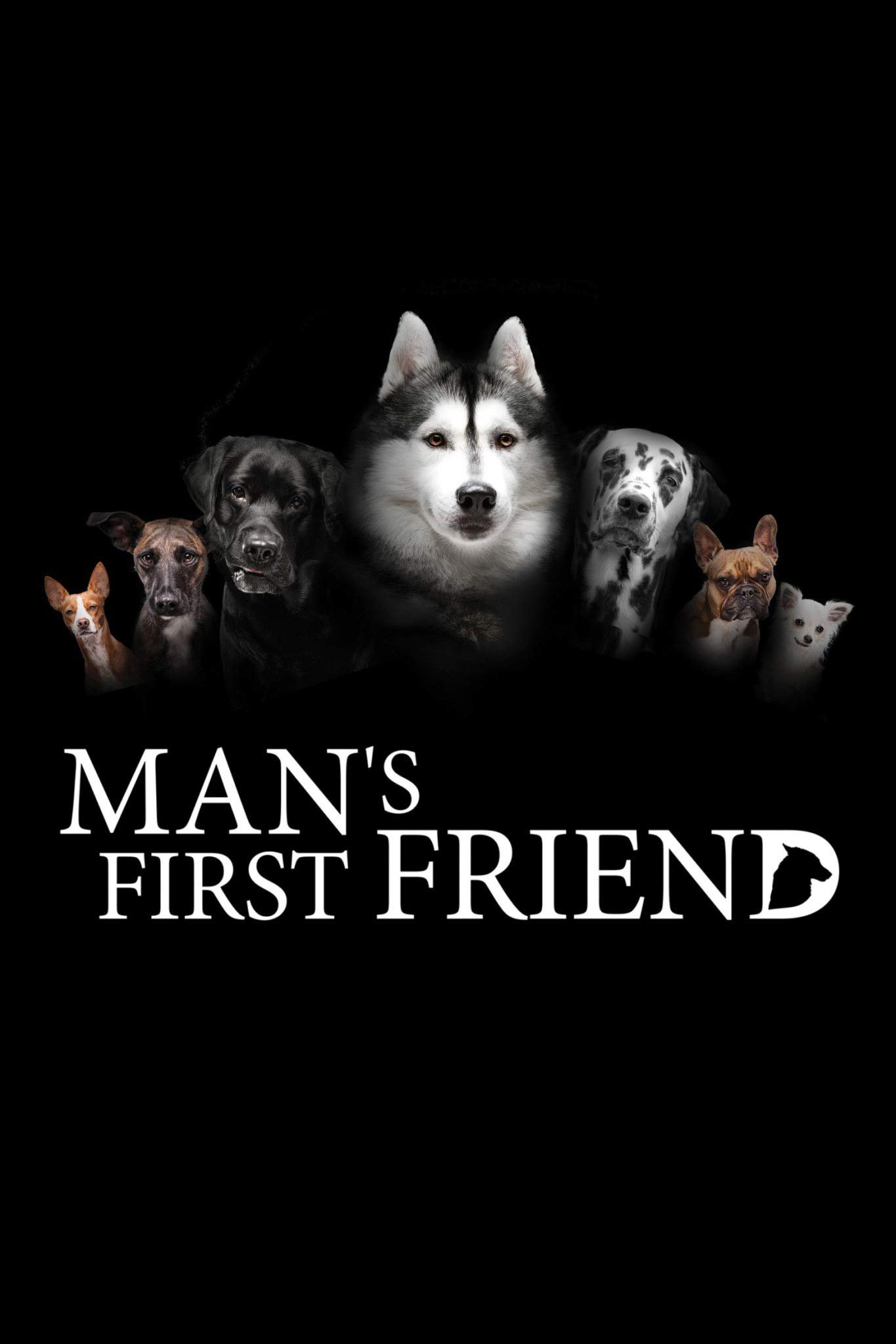 Poster de Man's First Friend