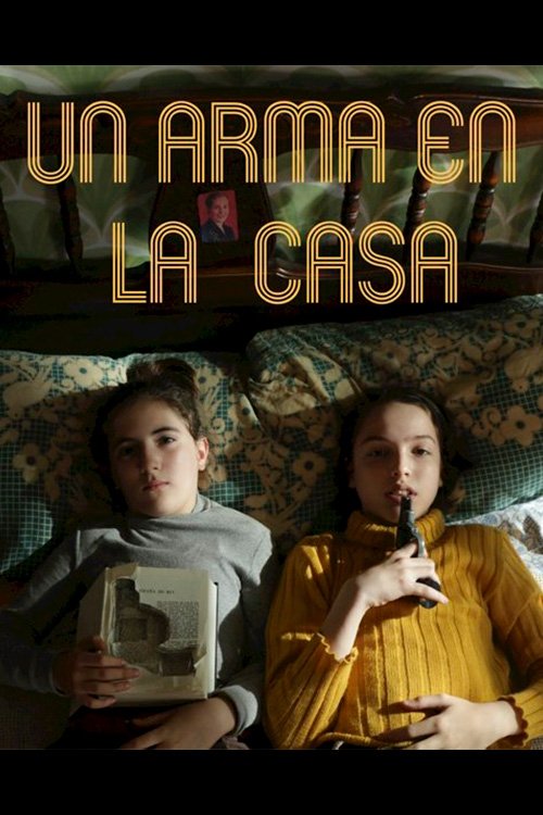 Poster de Un arma en la casa
