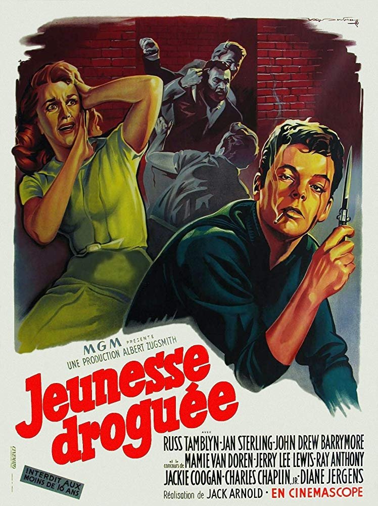 Affiche du film Jeunesse droguée