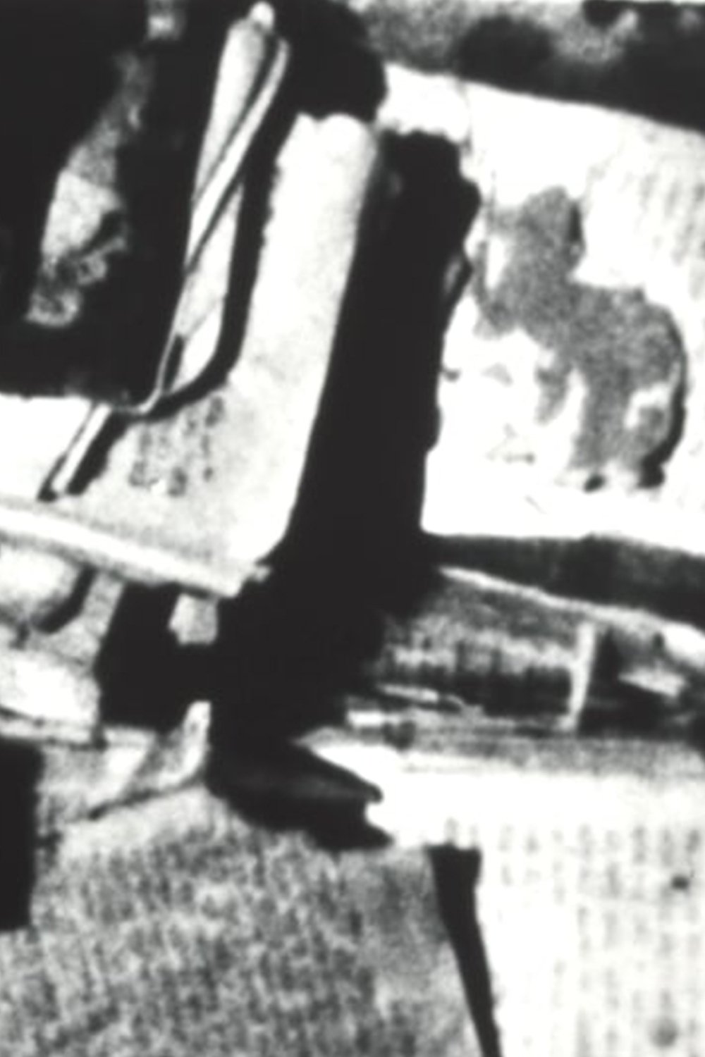 Poster de genizah; passages from the lublin book graveyard