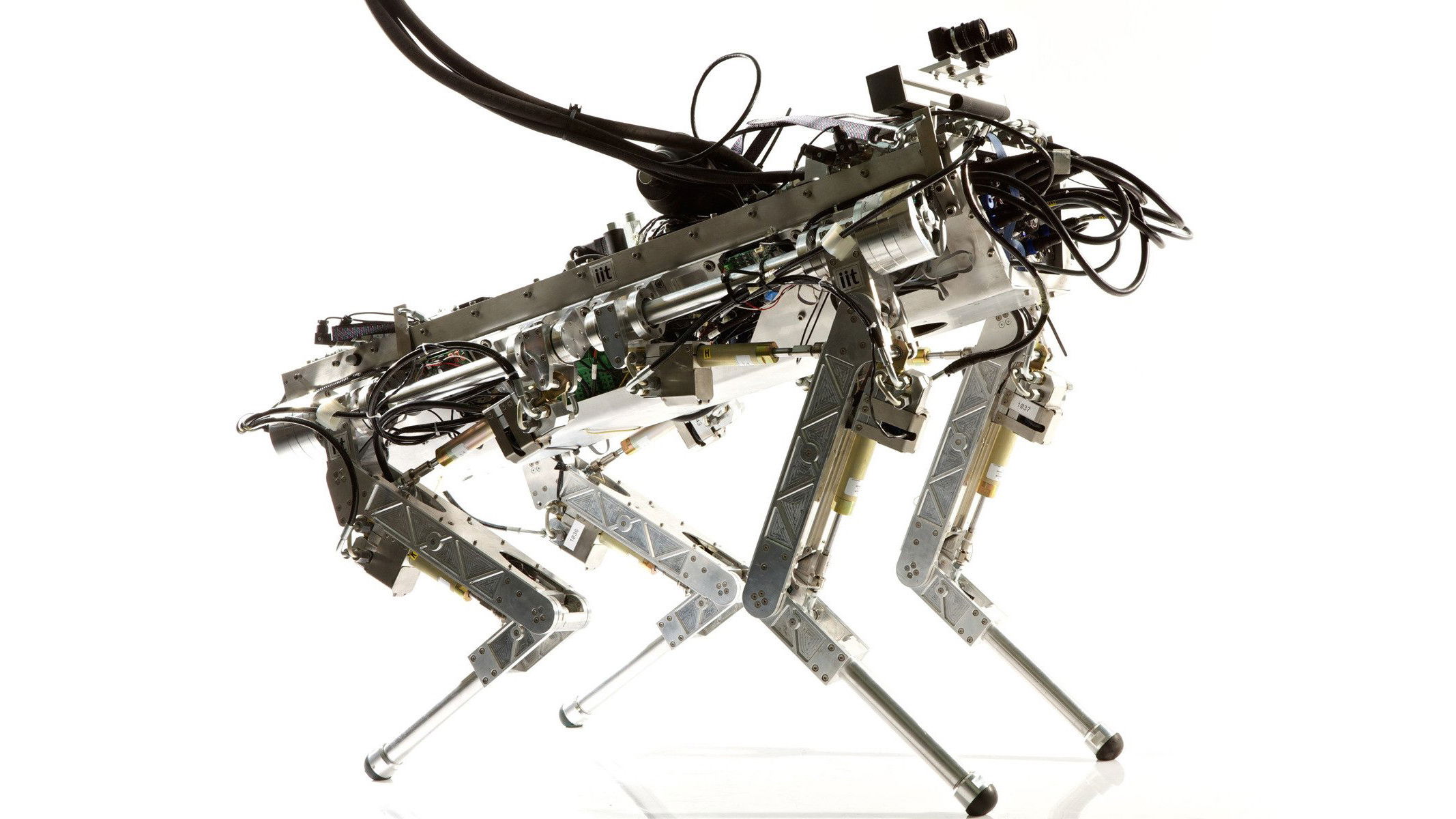 Part 2: Bioinspired Robots