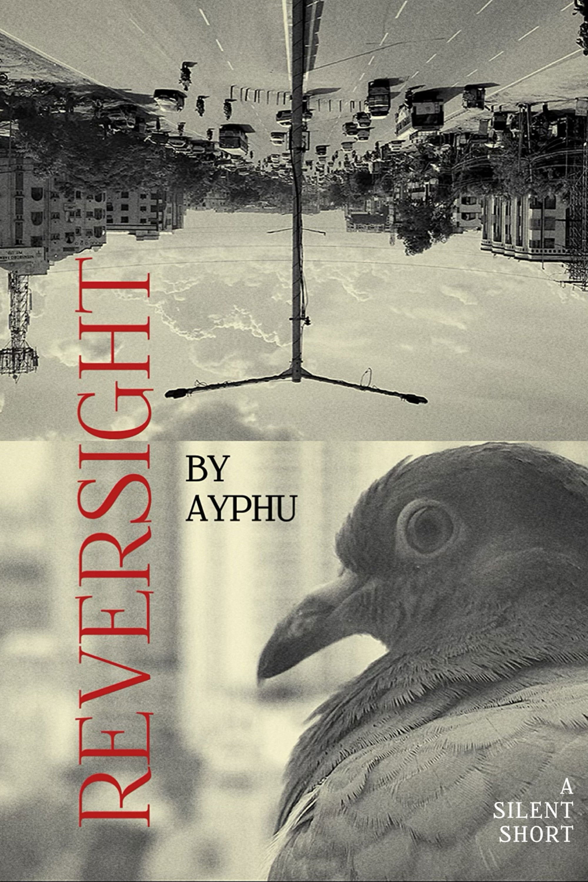 Poster de Reversight