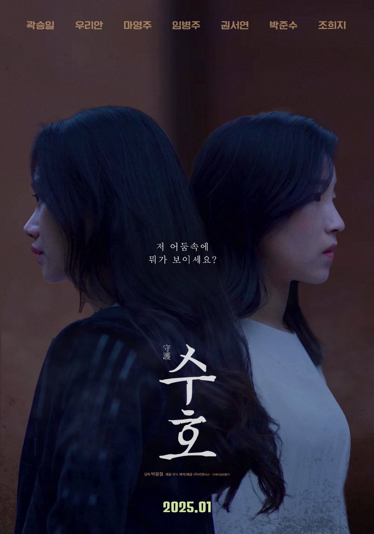 Poster de 수호