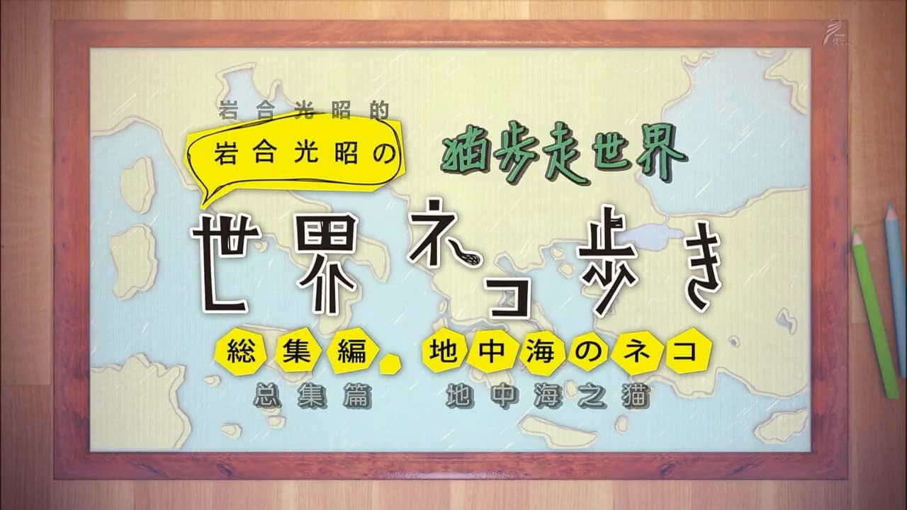 Compilation ~Mediterranean Cats~