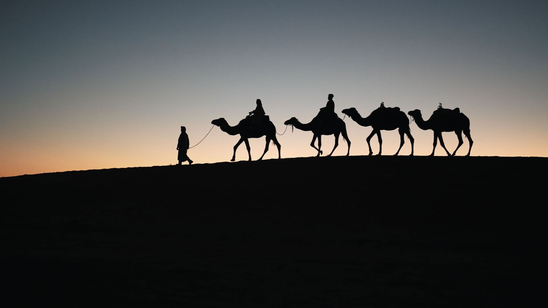 ...That only silk was transported on the Silk Road?