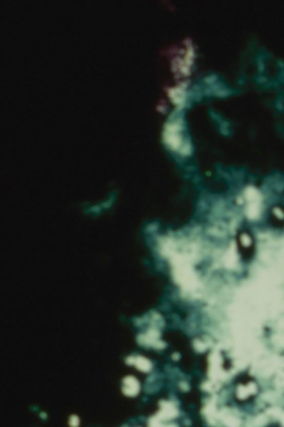 Poster de Loud Visual Noises