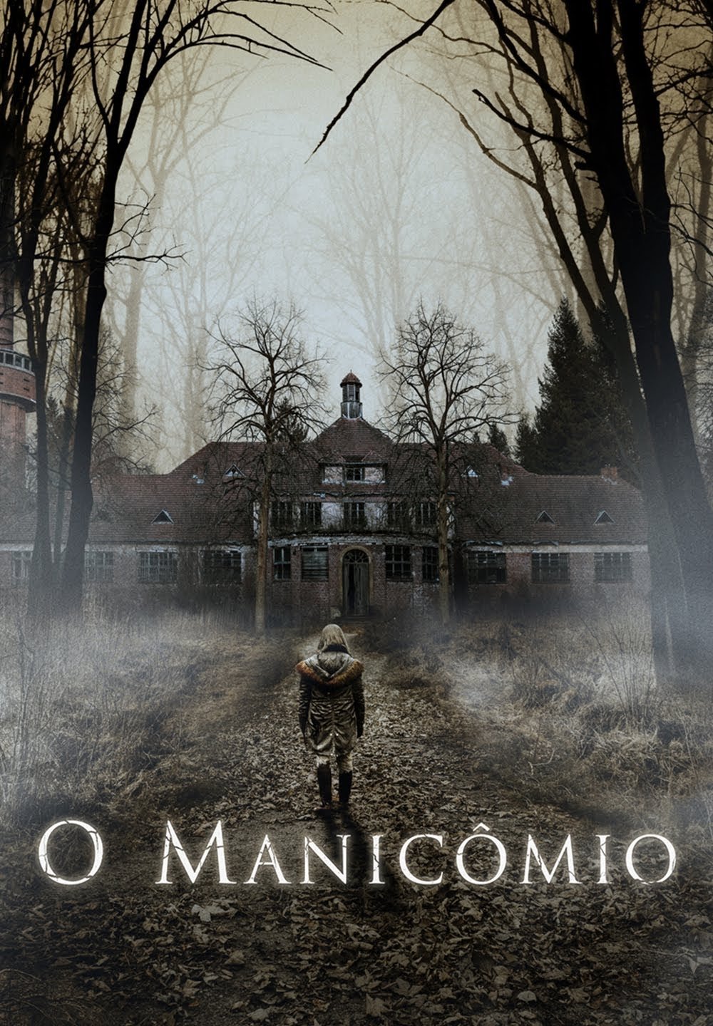 Poster de O Manicômio