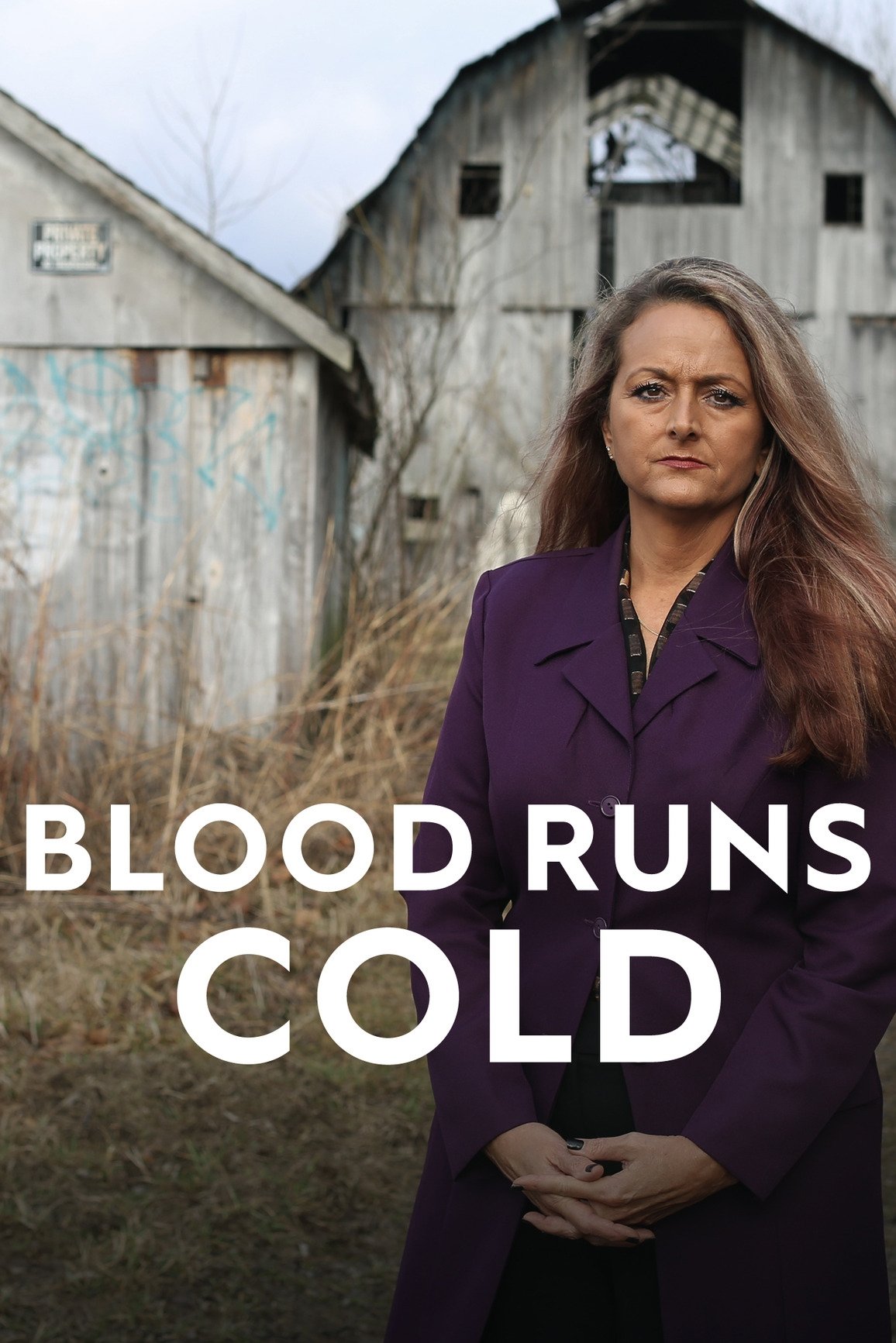 Poster de Blood Runs Cold