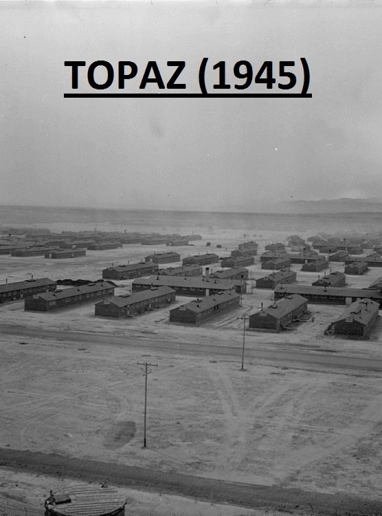 Poster de Topaz