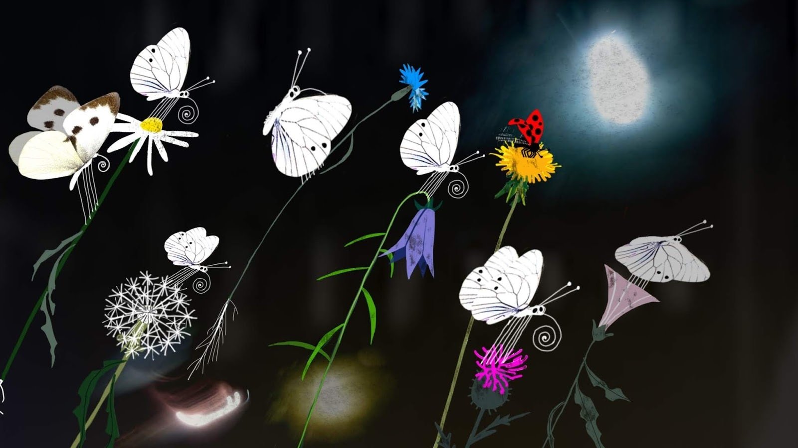 Backdrop image