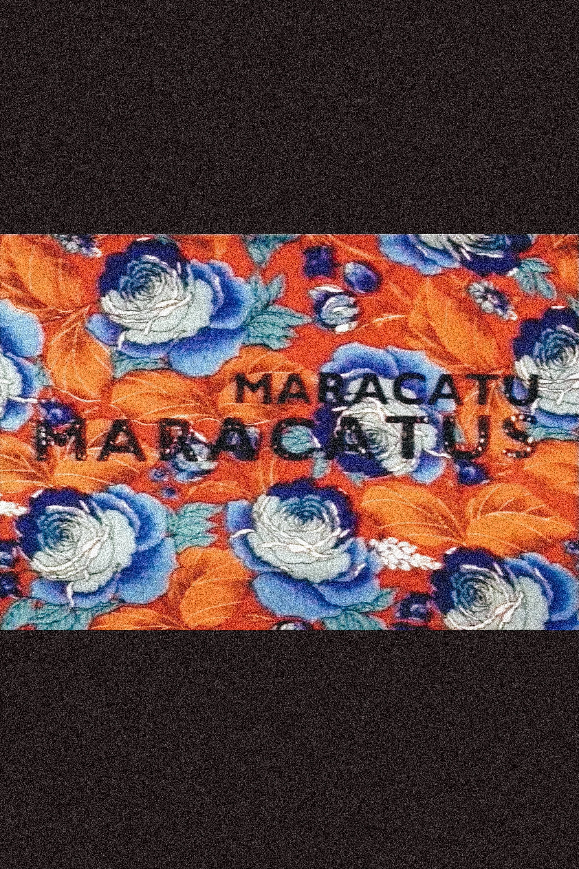 Poster de Maracatu, Maracatus