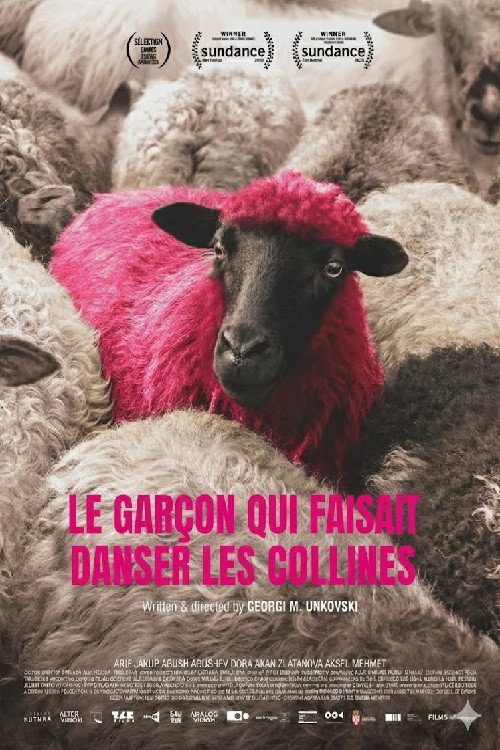 Le Garçon qui faisait danser les collines