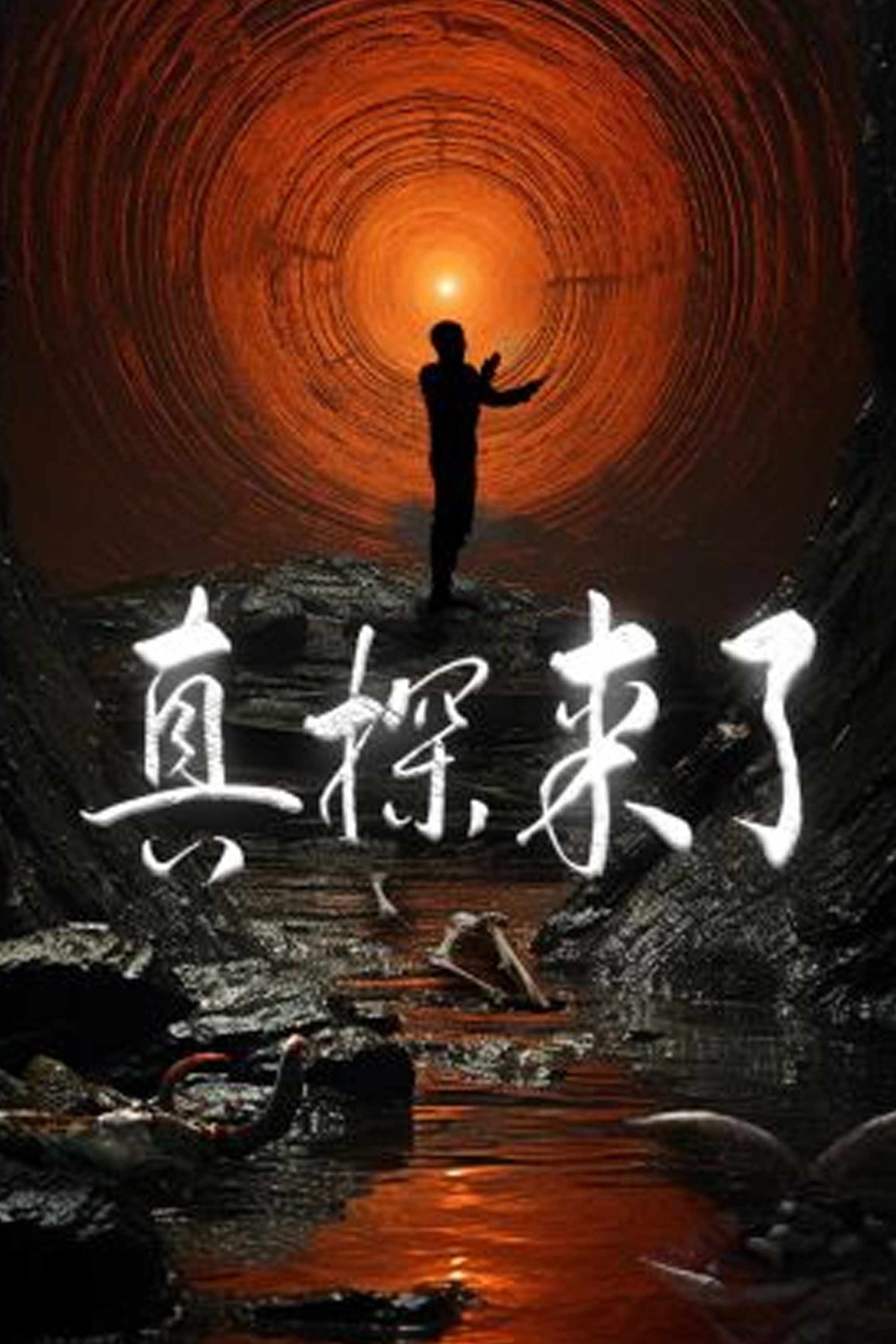 Poster de 真探来了