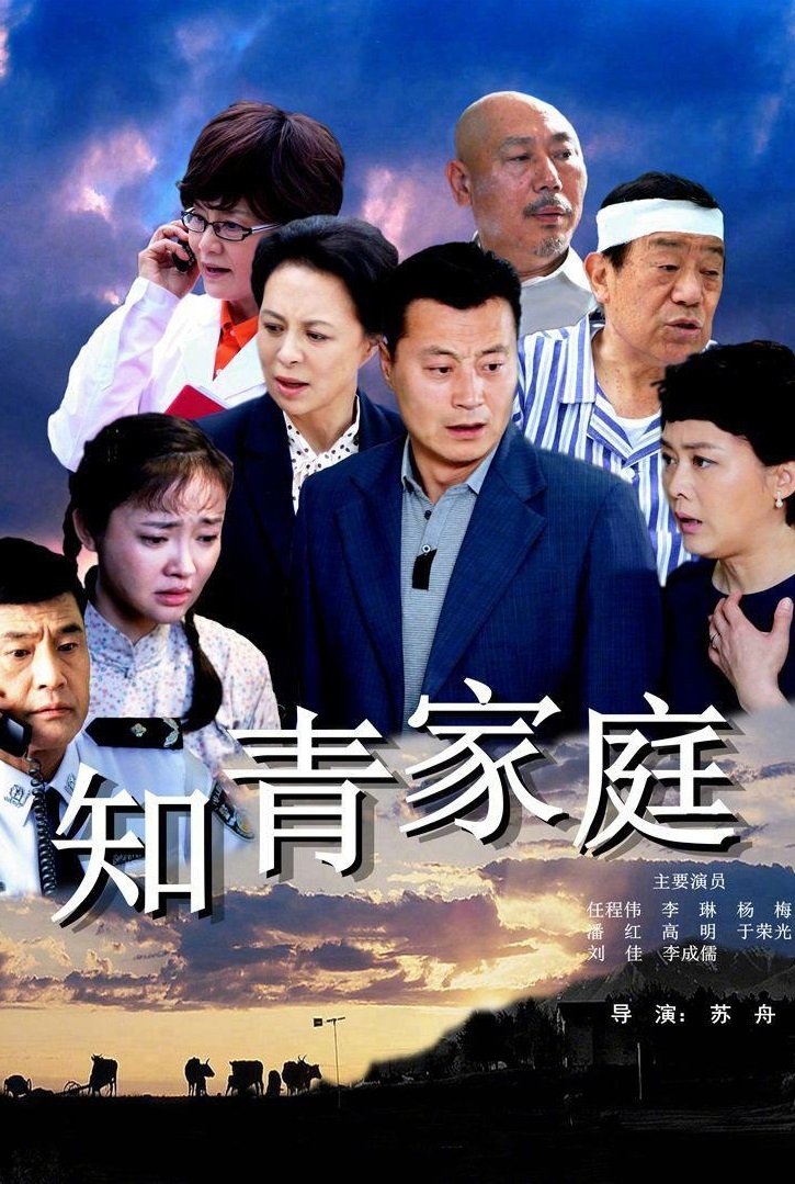Poster de 知青家庭