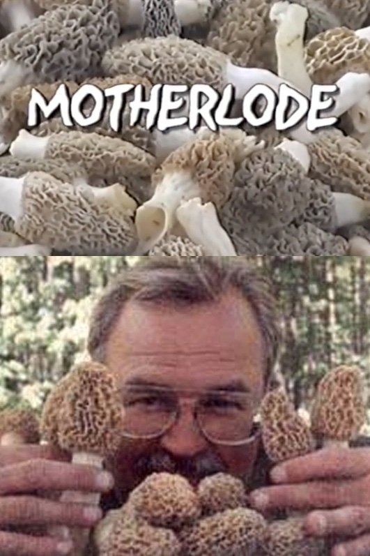 title