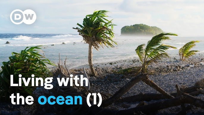 Treasure islands in the Pacific (1/2)