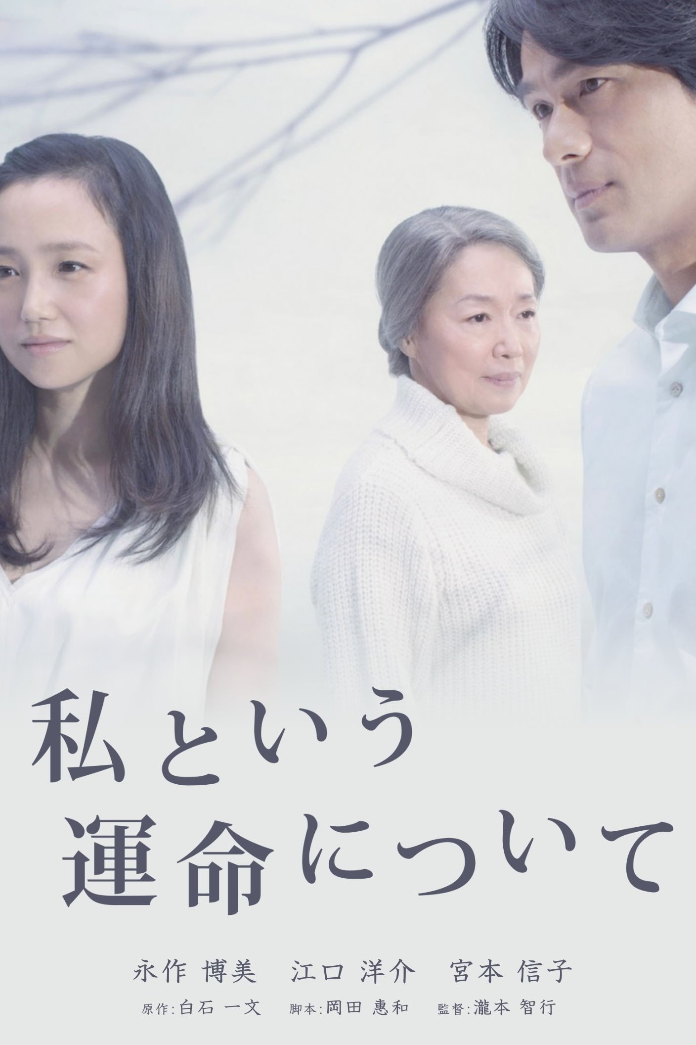Poster de 私という運命について