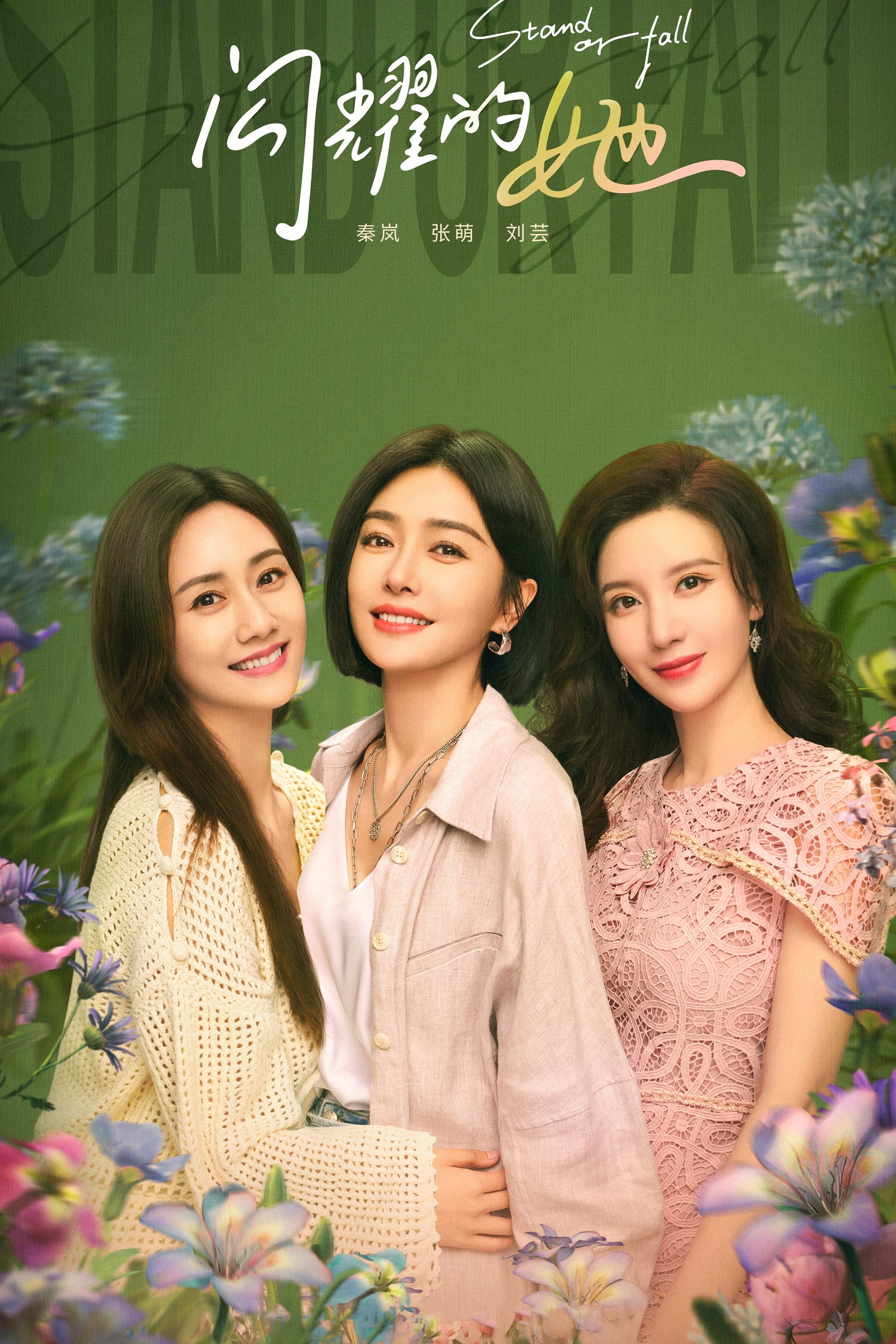 Poster de Stand or Fall