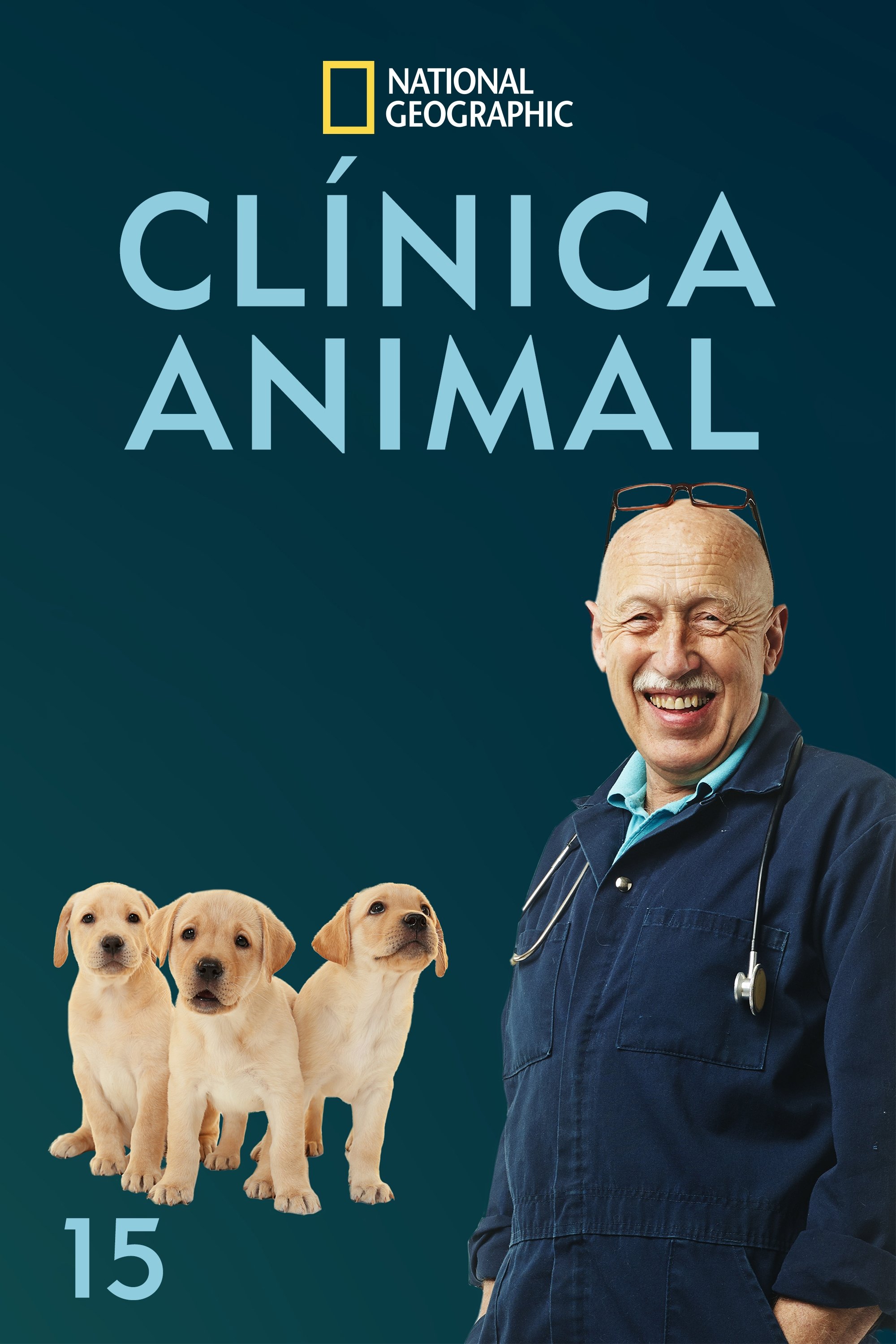 Poster de Temporada 15
