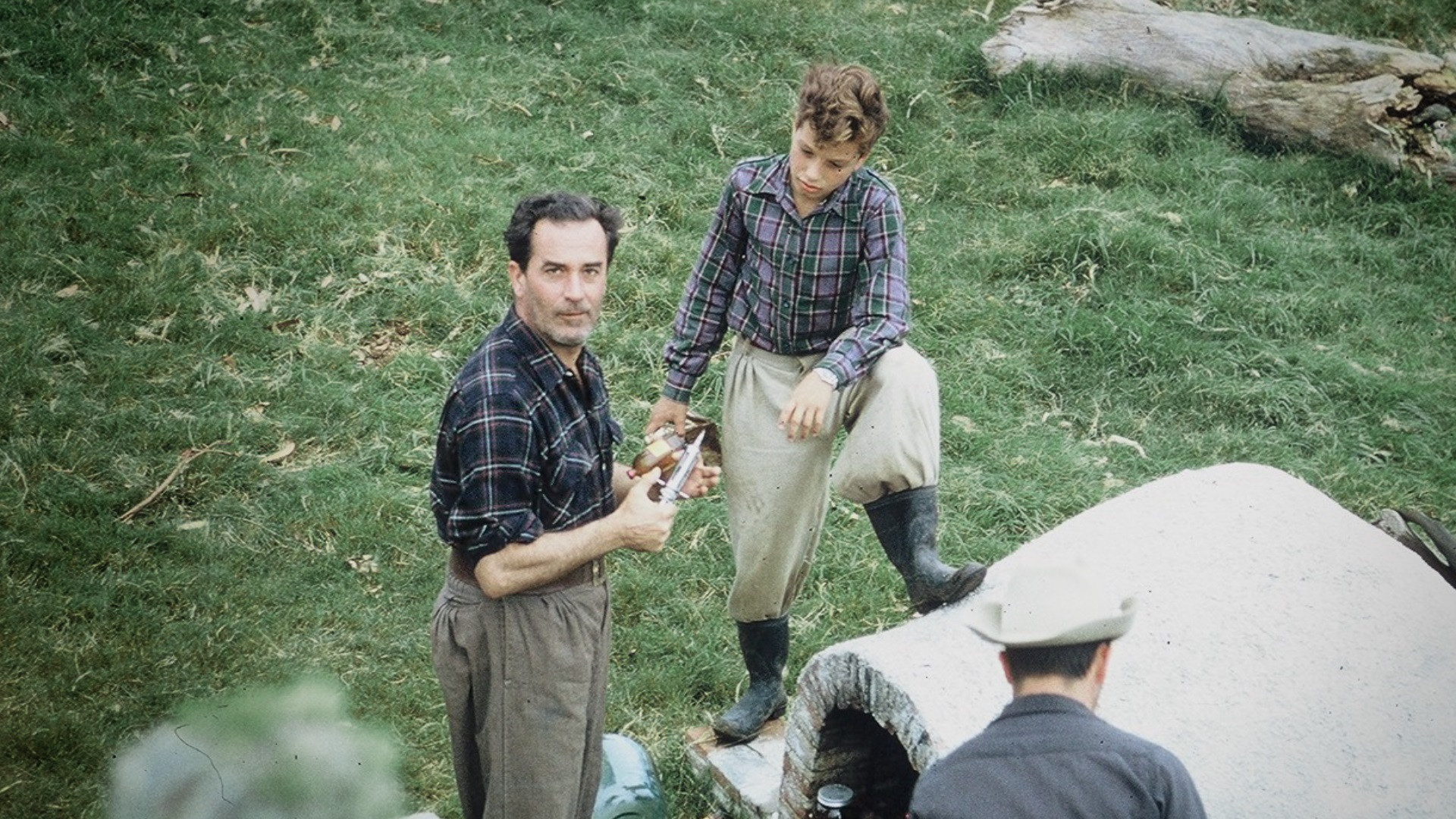 Director
