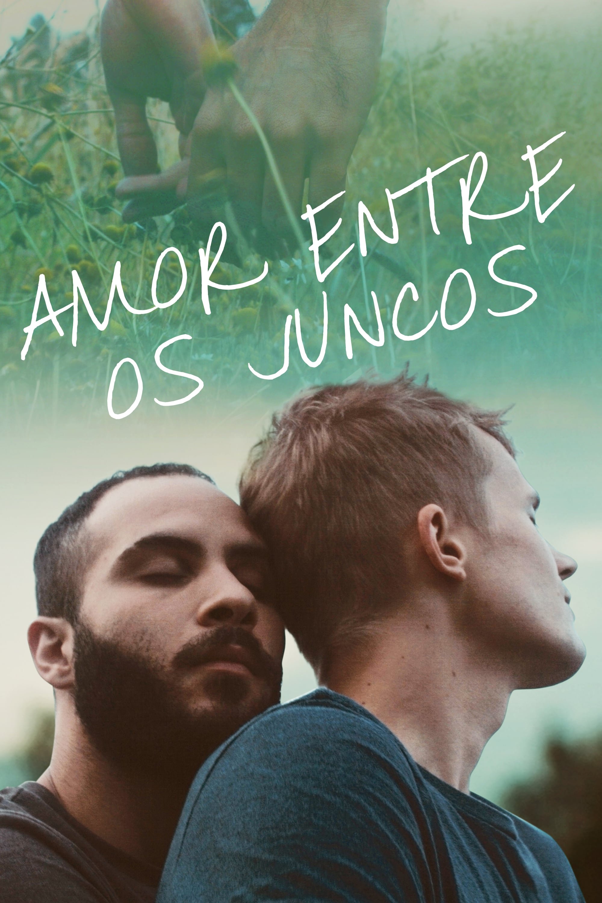Poster de Amor Entre os Juncos