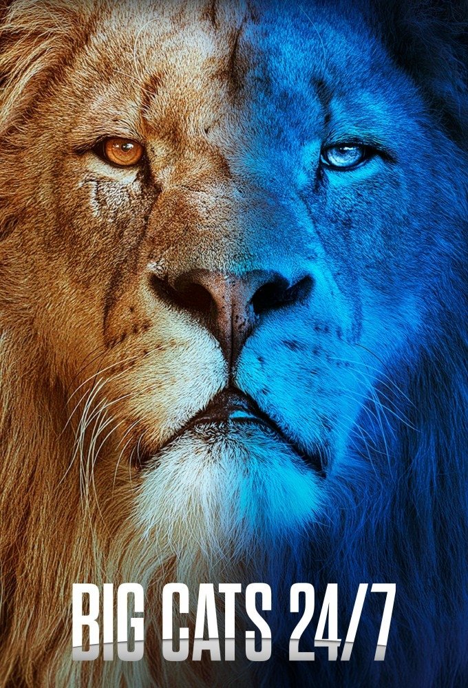 Poster de Big Cats 24/7