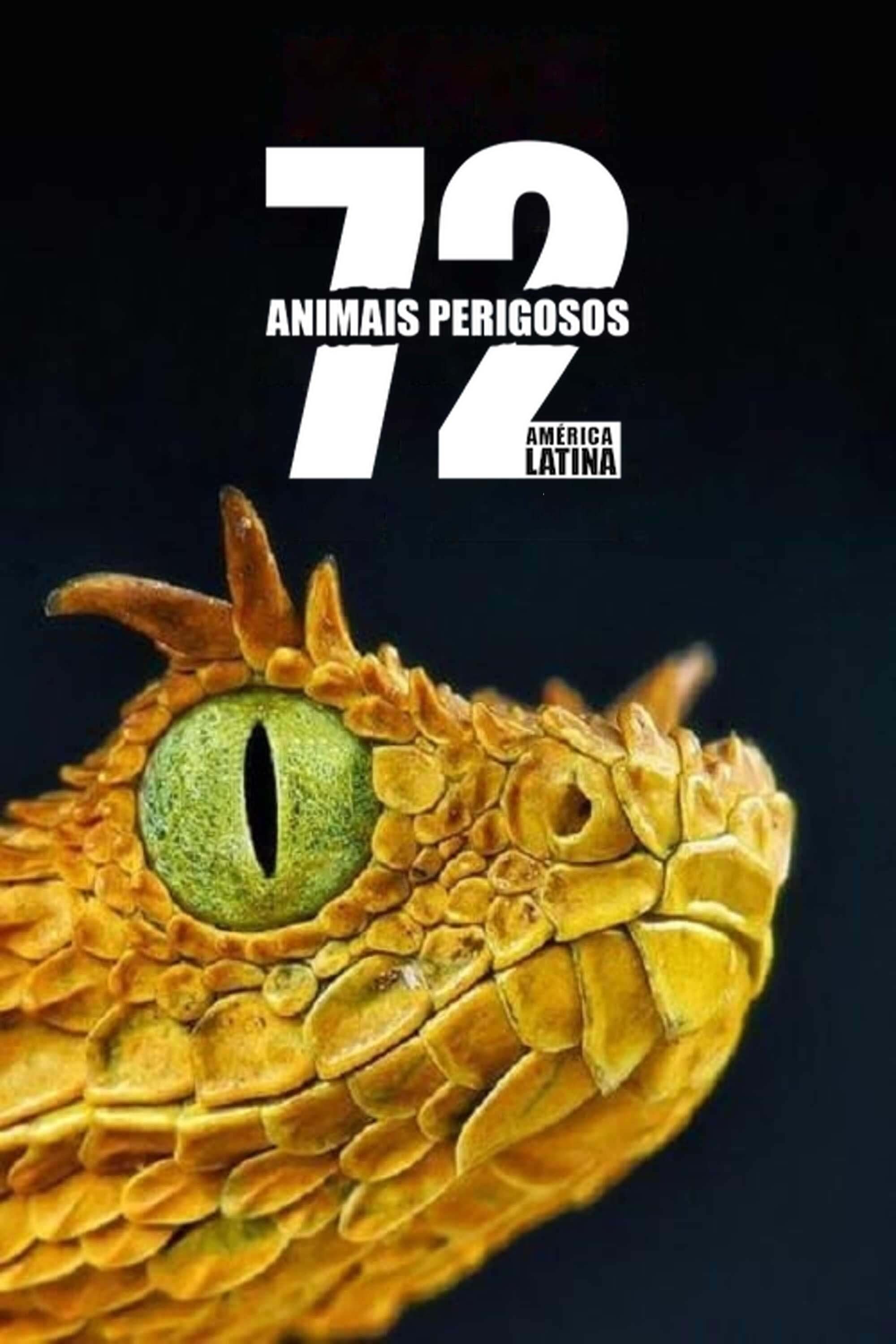 Poster de 72 Animais Perigosos - América Latina
