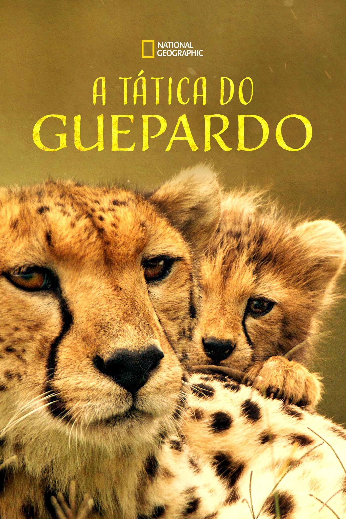 Poster de A Tática do Guepardo
