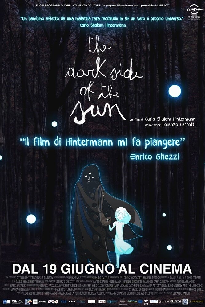 Poster de The Dark Side of the Sun