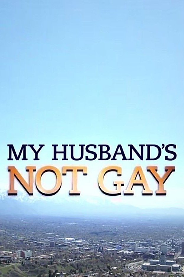 Poster de My Husband's Not Gay