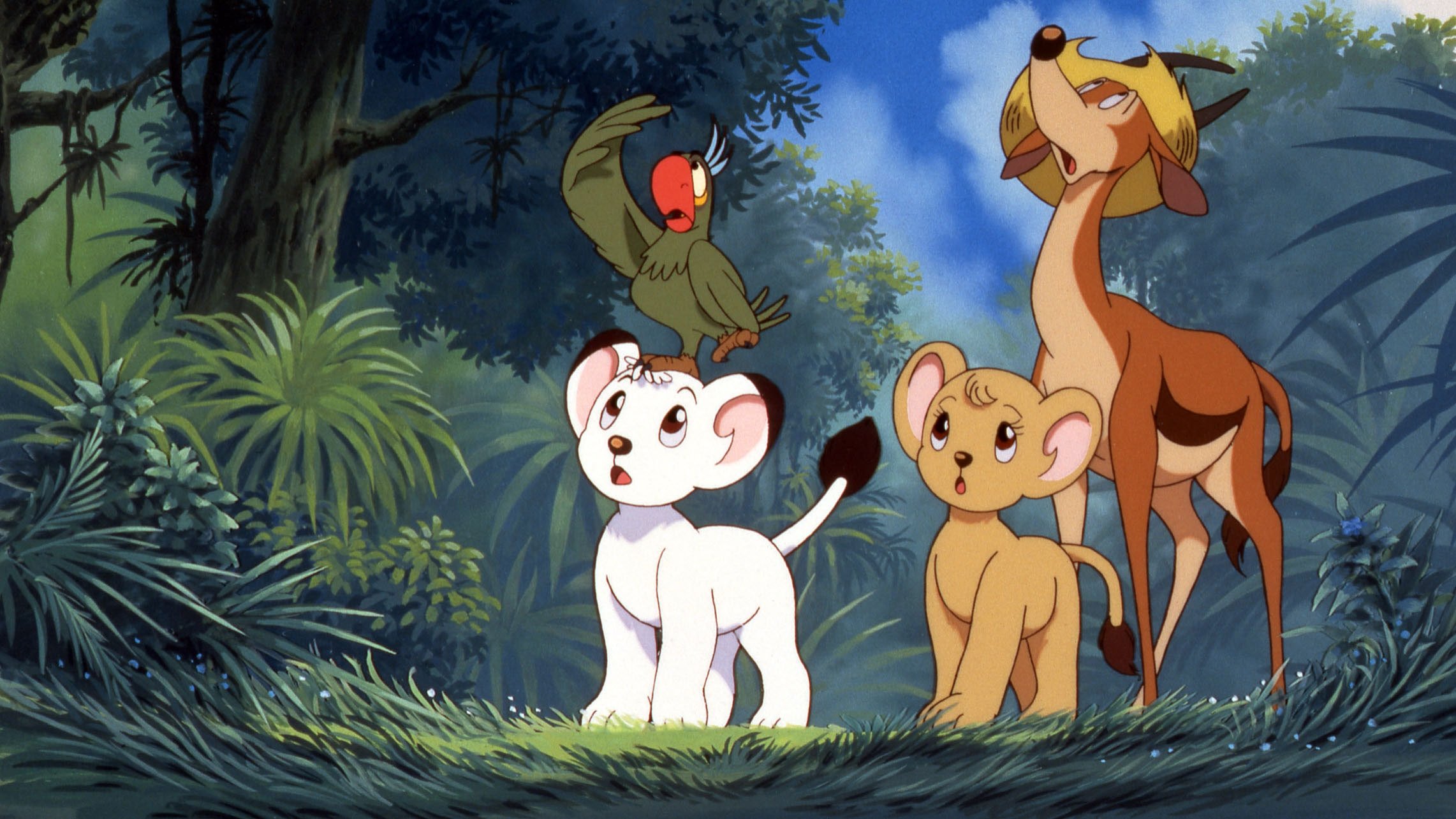 Backdrop image