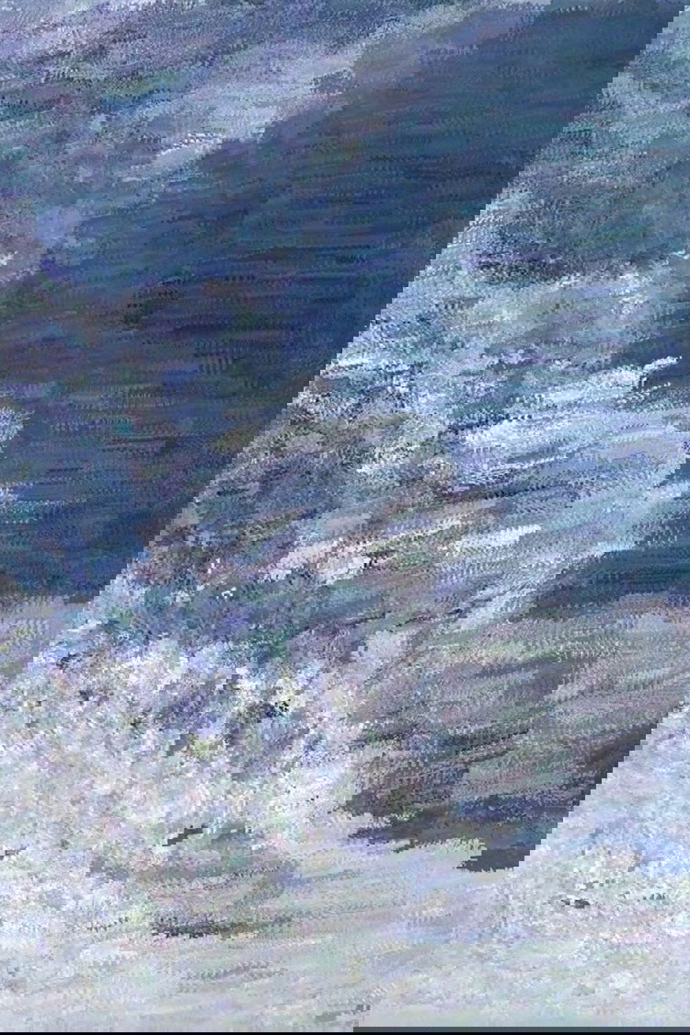 15000ft