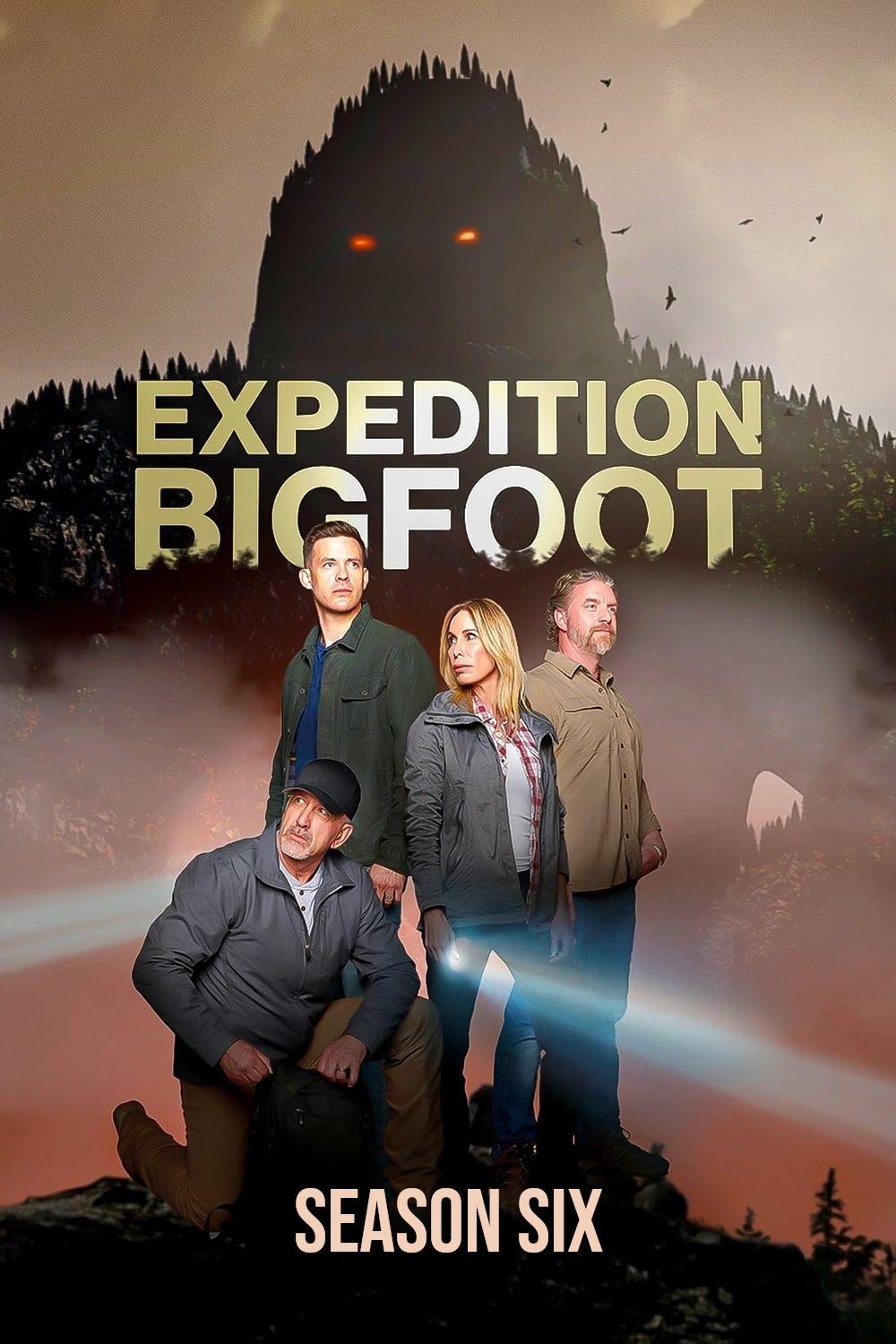 Poster de Temporada 6