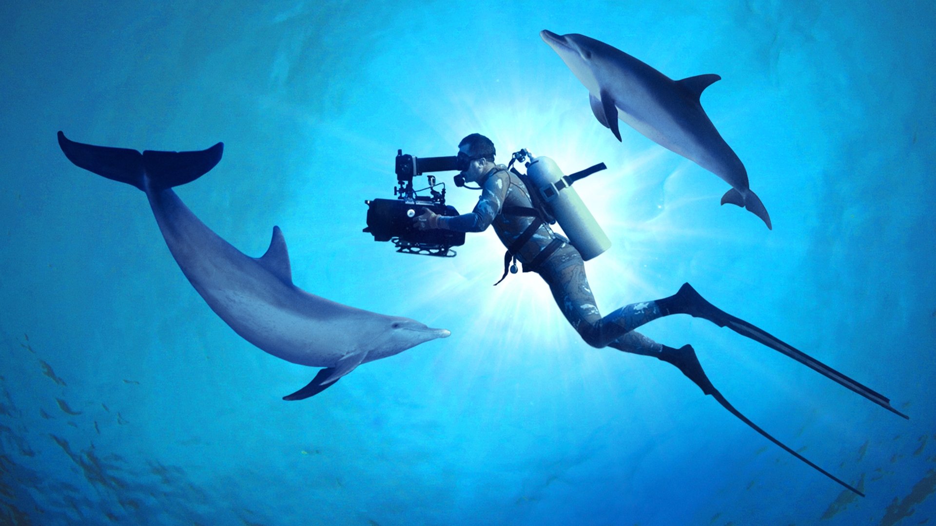 Backdrop image