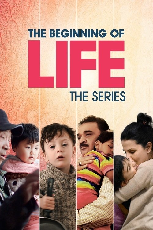 Poster de O Começo da Vida, Série