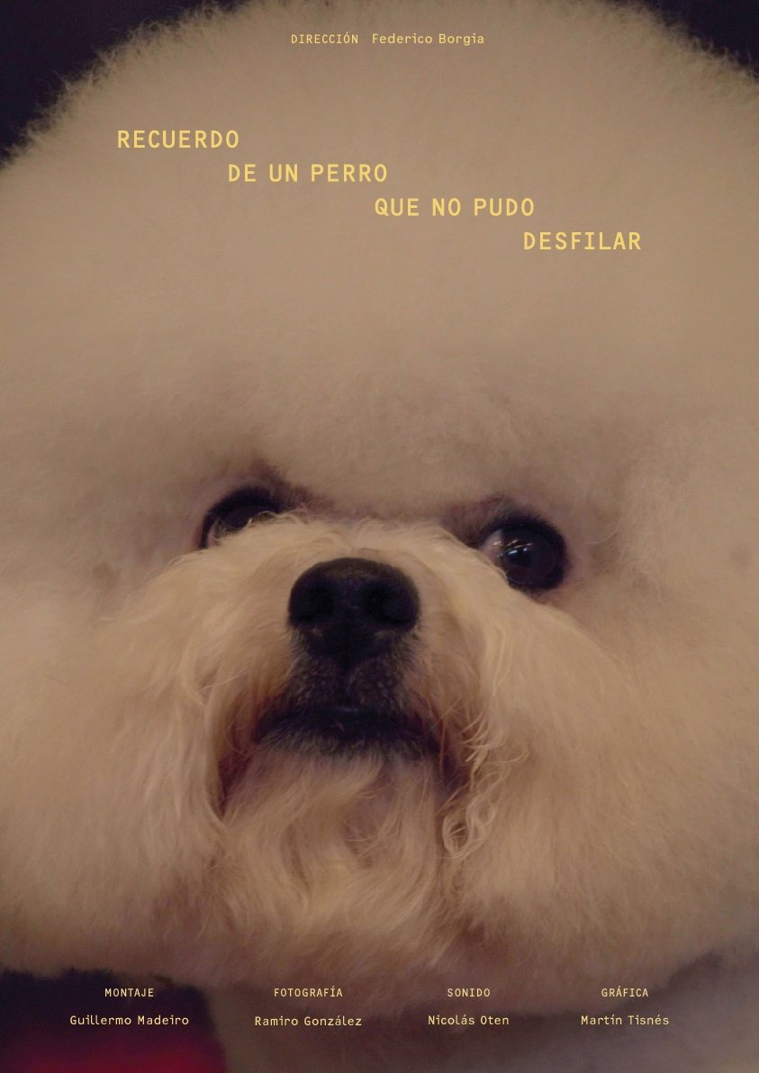 Poster de Recuerdo de un perro que no pudo desfilar