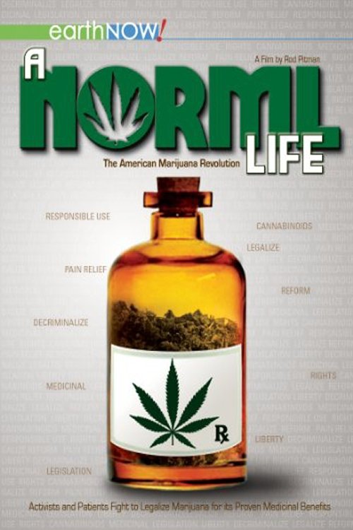 Poster de A Norml Life