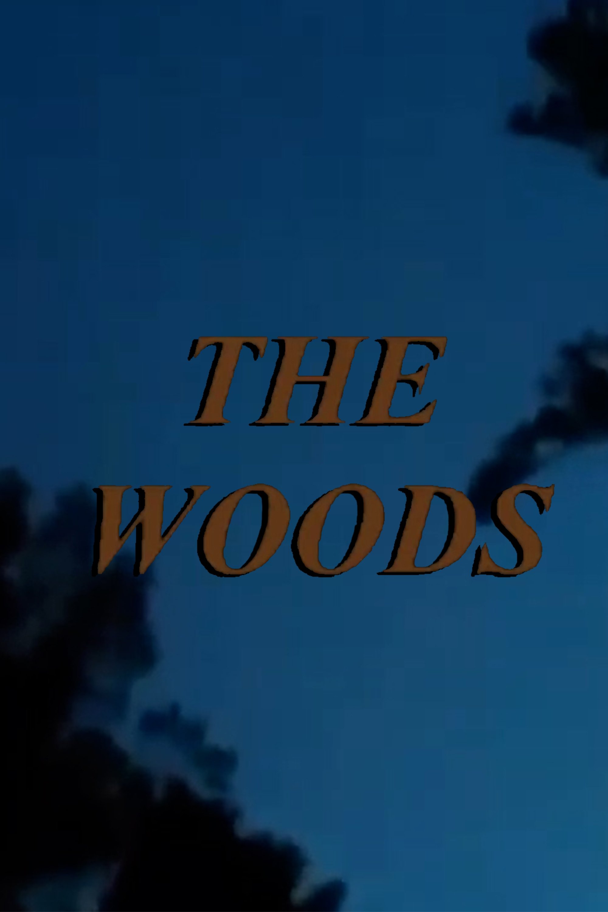 Poster de The Woods