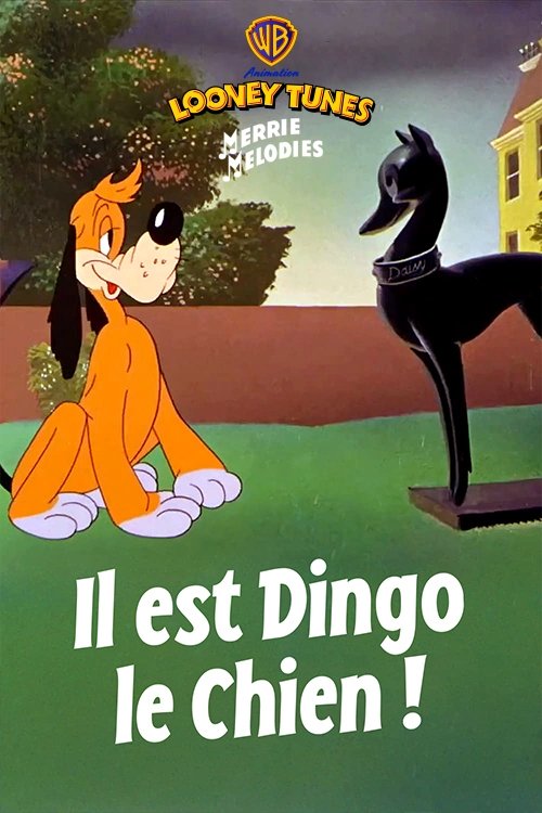 Il est dingo le chien
