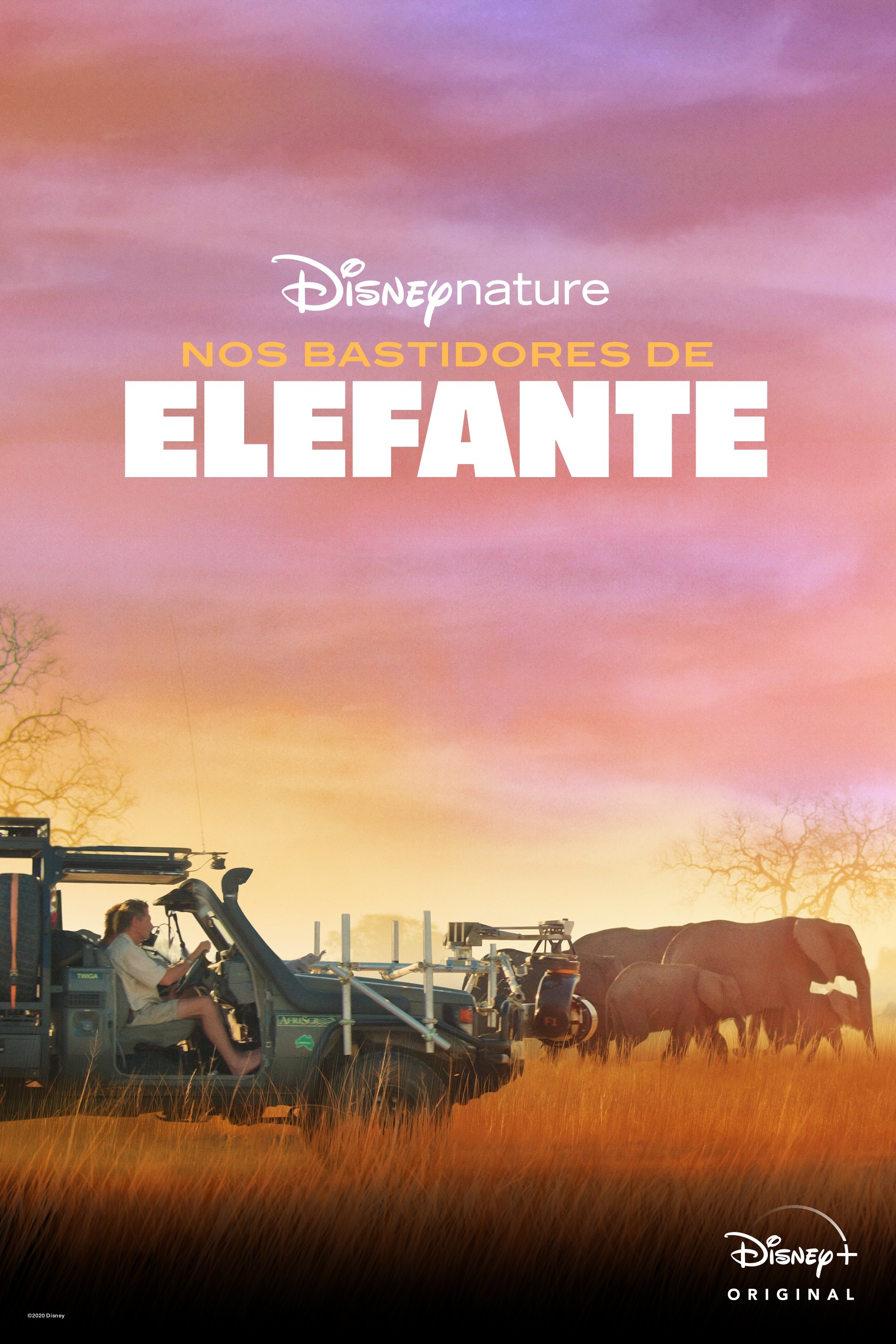 Poster de Nos Bastidores de Elefante
