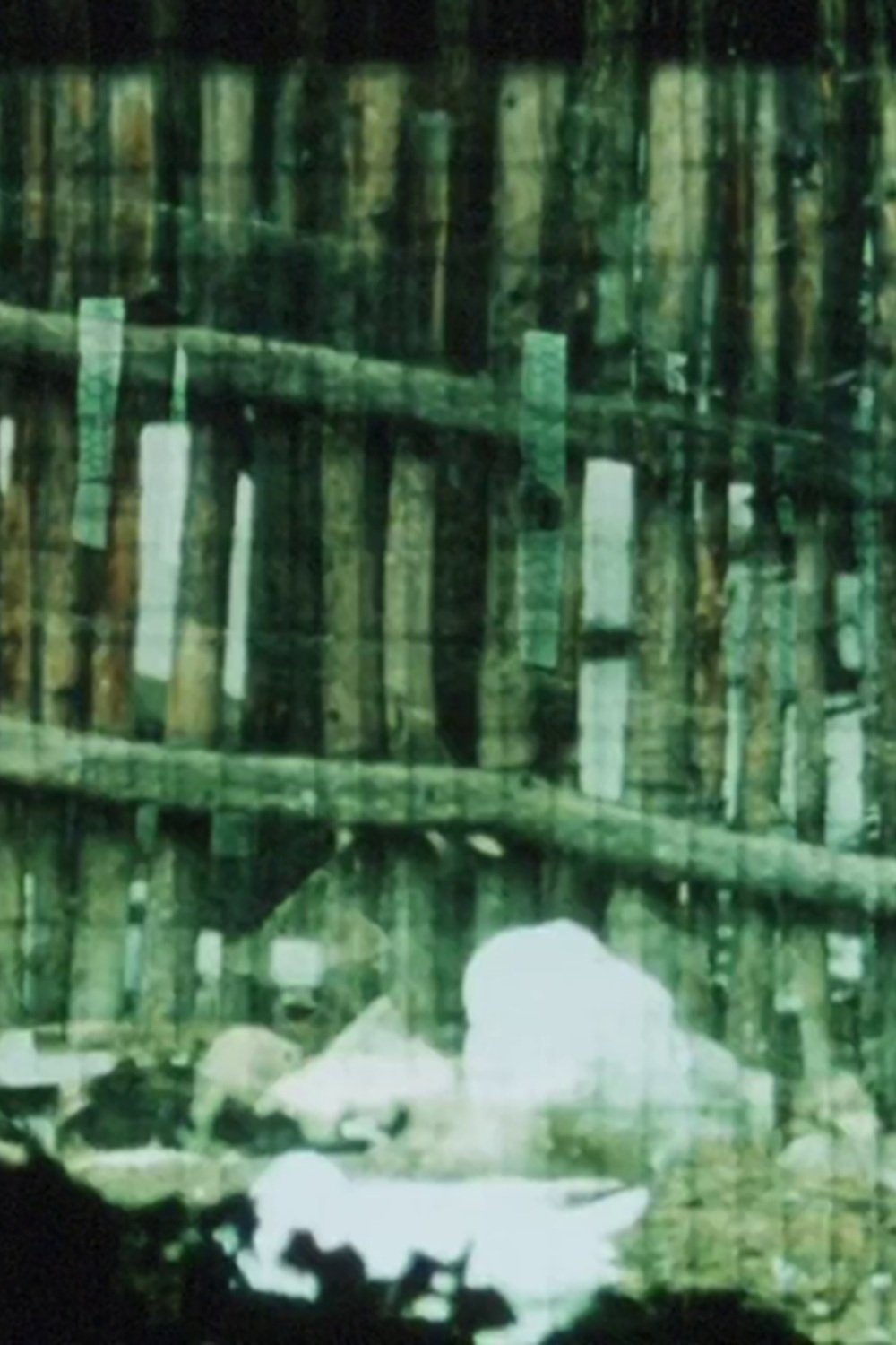 Poster de The Loom