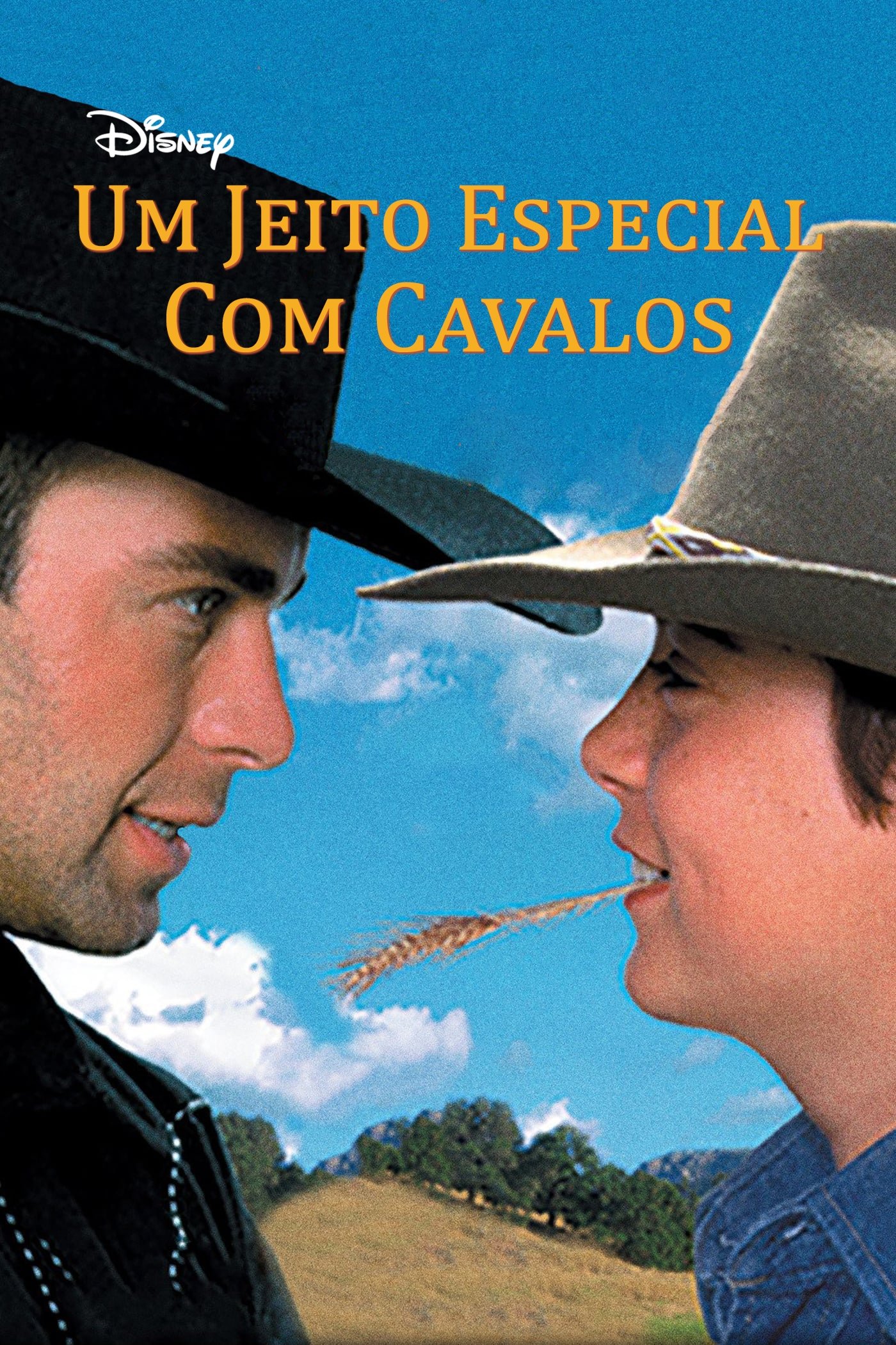 Poster de Um Jeito Especial com Cavalos