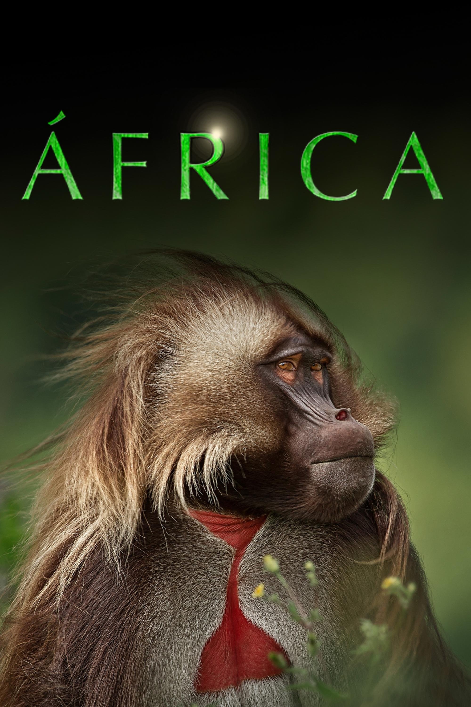 Poster de Africa