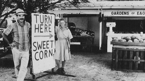 Turn Here Sweet Corn